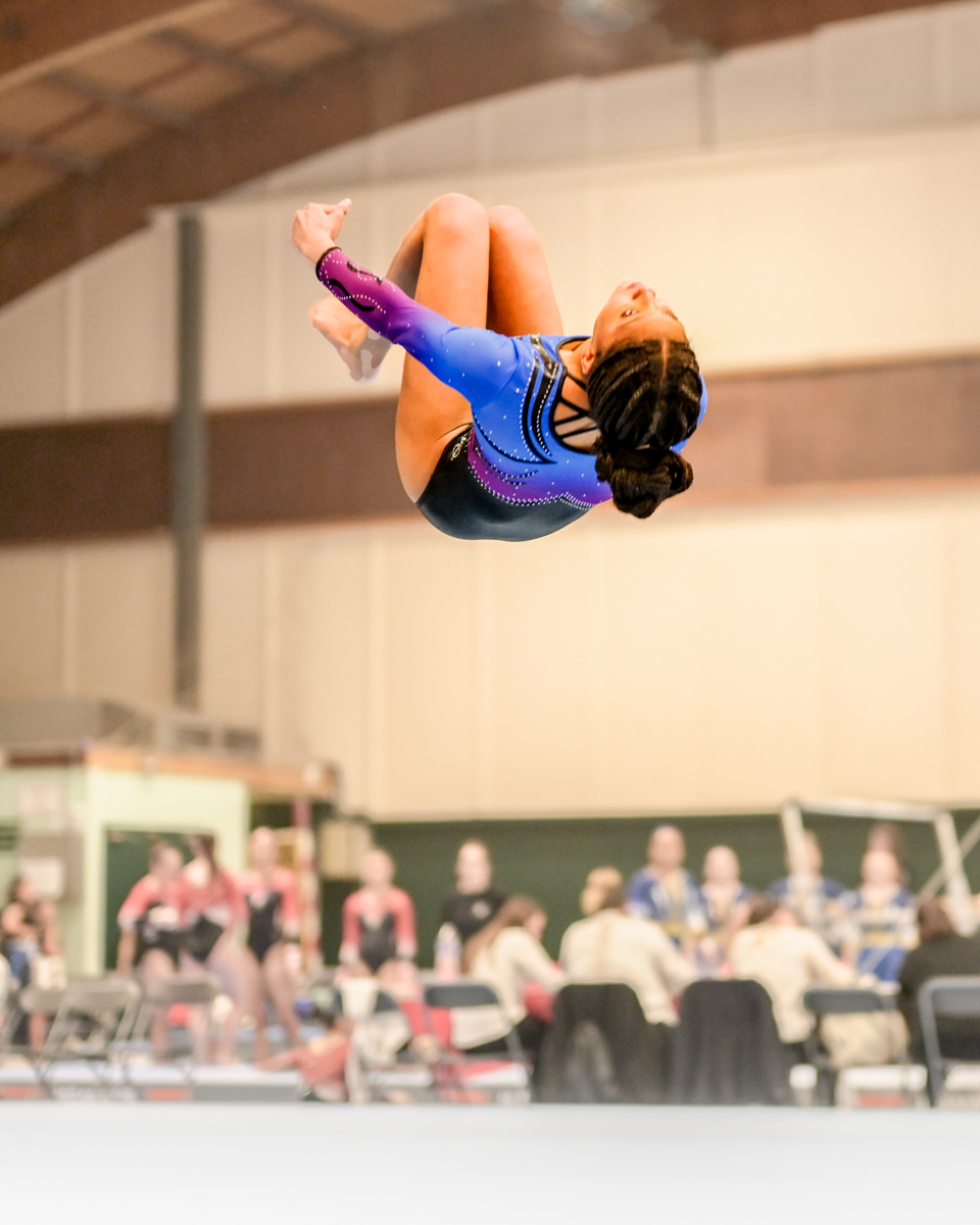 Championnat de France de gymnastique FSGT 2024 à Bagneux. Epreuve sol féminin.