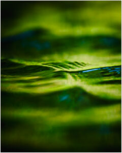 La lumière au ras de l'eau.