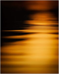 La lumière au ras de l'eau.