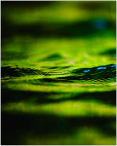 La lumière au ras de l&rsquo;eau.