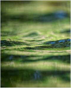 La lumière au ras de l&rsquo;eau.