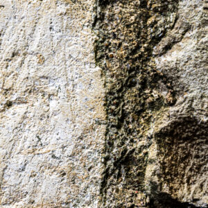 Texture : des murs et des troncs