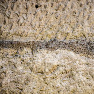 Texture : des murs et des troncs