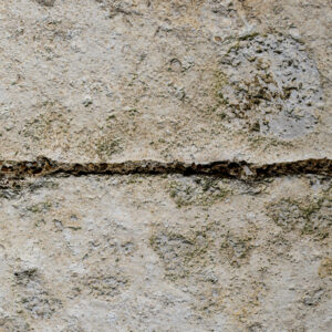 Texture : des murs et des troncs
