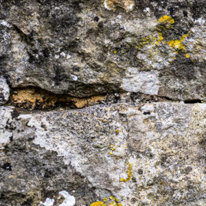 Texture : des murs et des troncs