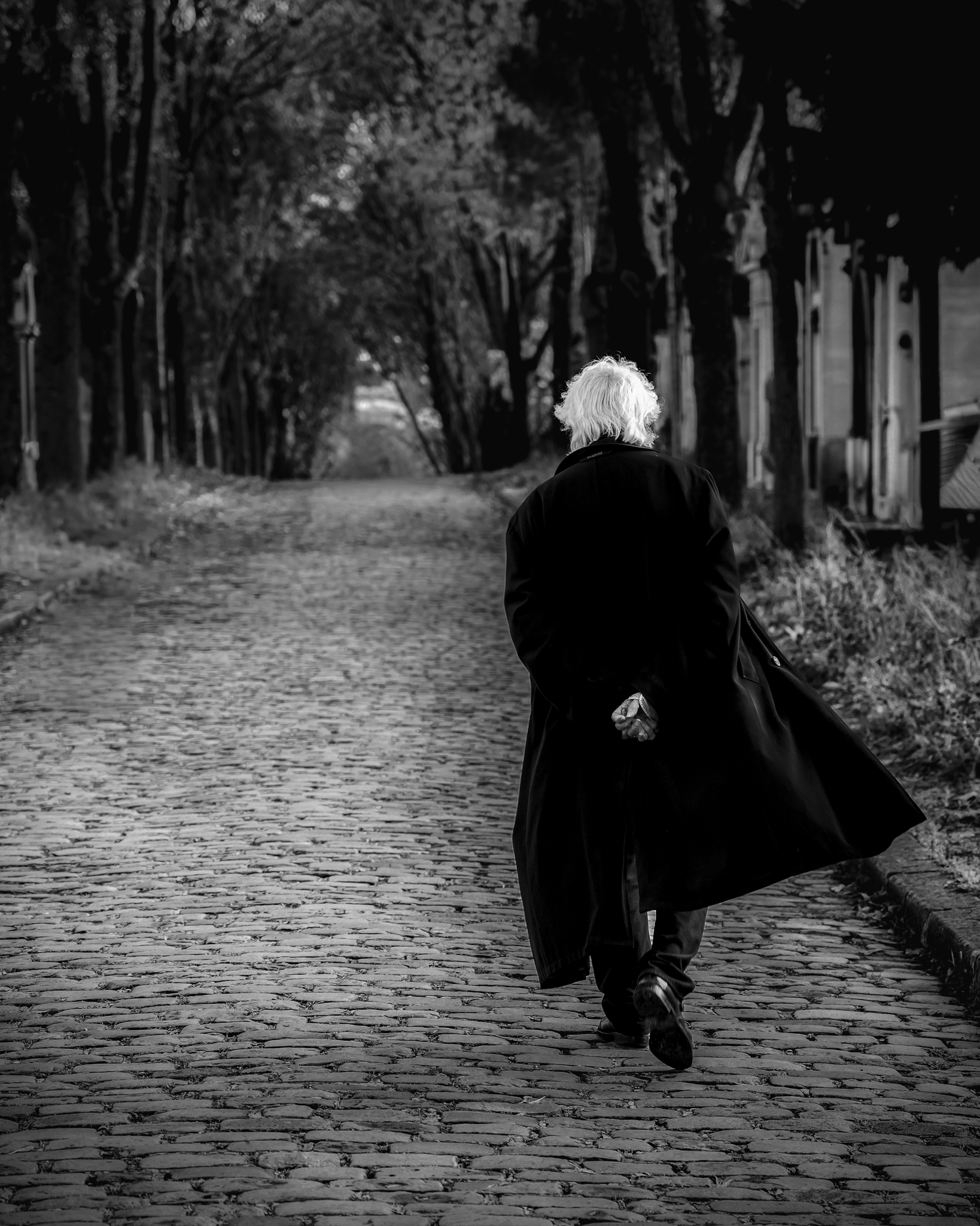 Homme aux cheveux blancs en manteau sombre marchant seul sur une route pavée bordée d'arbres.