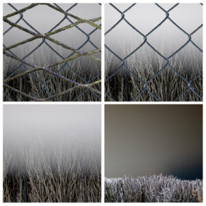 Quadriptyque : infox