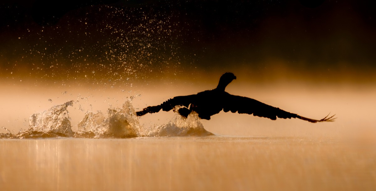 #photos #assos #explos #infos xitean.fr est un site dédié aux associations et aux photographes amateurs bénévoles. Quatre mots clés le caractérisent : #photos #assos #explos #infos