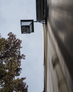 Regard vers le ciel-4 - #explos thèmes photo club