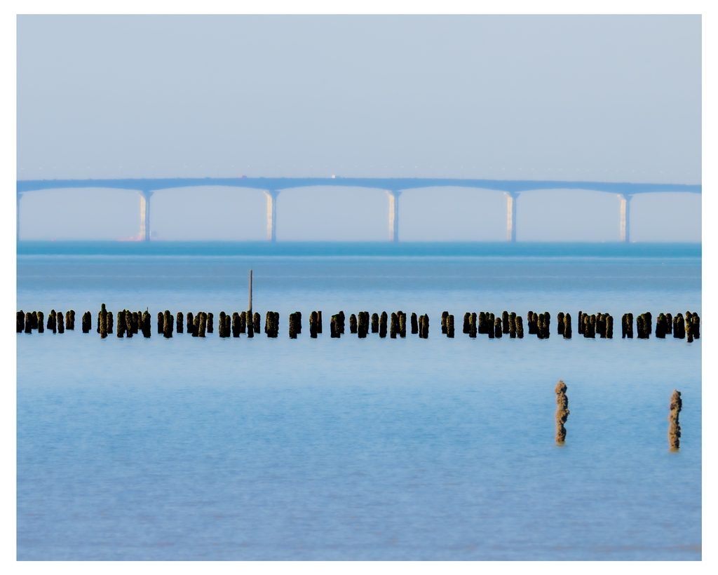 Explos les oiseaux  : Le marais poitevin maritime. Vue sur le pont de l'île de Ré de le pointe de l'Aiguillon