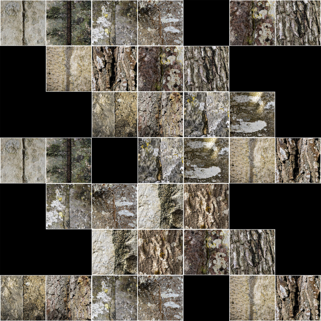 #explos : les explorations visuelles photographiques sont infinies.