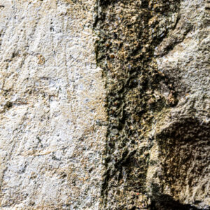 murs et troncs-10 murs et troncs-10