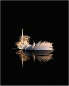 reflets-1 reflets-1