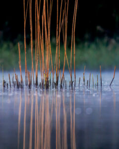 reflets-10 reflets-10