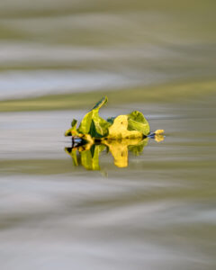 reflets-3 reflets-3