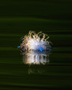 reflets-4 reflets-4