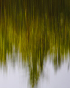reflets-5 reflets-5