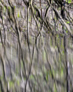 reflets-9 reflets-9