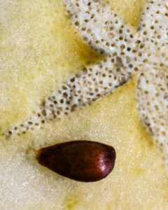 textures-1 textures-1